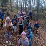 phoca_thumb_m_zajci a podzim 10 Fotogalerie